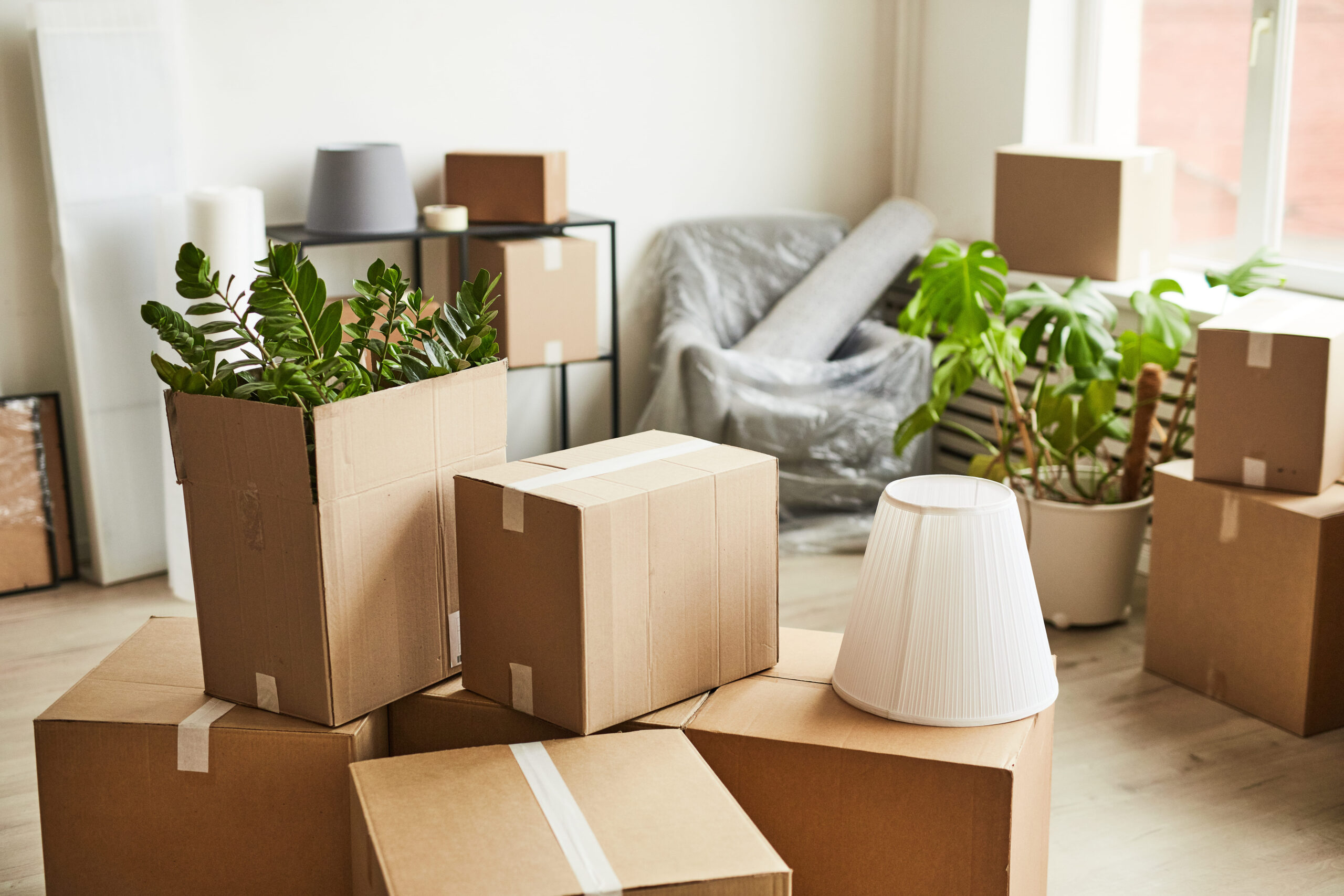 packing-services-near-you